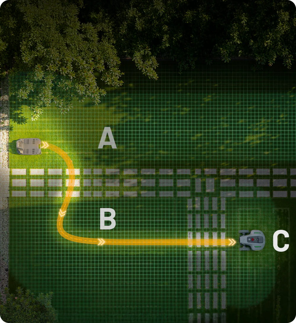 Auto Explore & Mapping