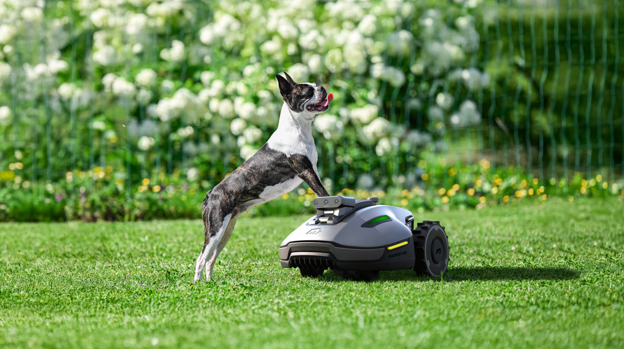 Intelligent Lawn Care Made Easy